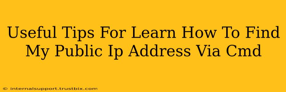 Useful Tips For Learn How To Find My Public Ip Address Via Cmd