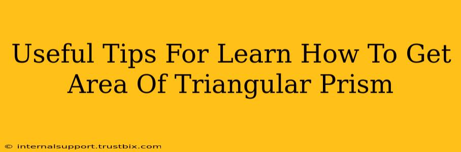 Useful Tips For Learn How To Get Area Of Triangular Prism