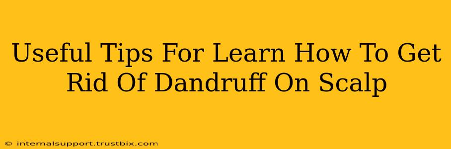 Useful Tips For Learn How To Get Rid Of Dandruff On Scalp