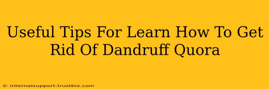 Useful Tips For Learn How To Get Rid Of Dandruff Quora