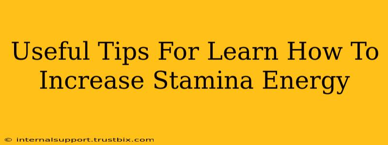 Useful Tips For Learn How To Increase Stamina Energy