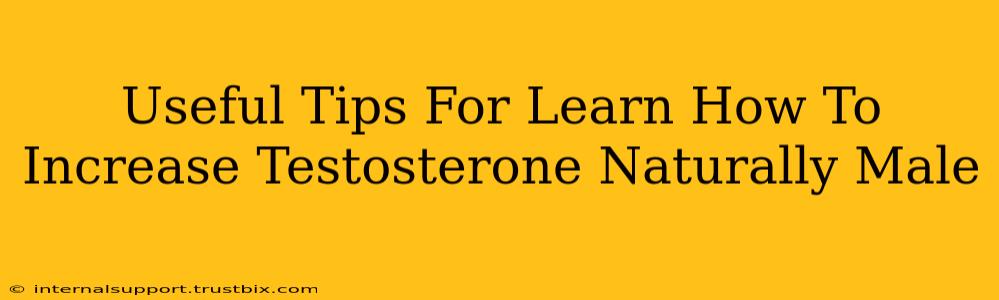 Useful Tips For Learn How To Increase Testosterone Naturally Male