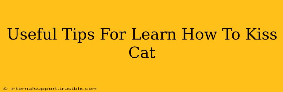 Useful Tips For Learn How To Kiss Cat