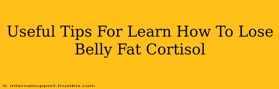 Useful Tips For Learn How To Lose Belly Fat Cortisol