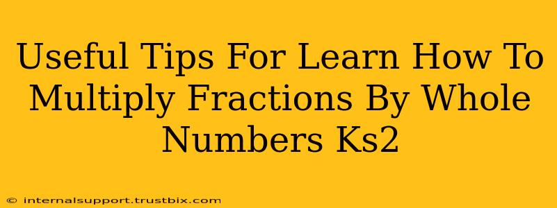 Useful Tips For Learn How To Multiply Fractions By Whole Numbers Ks2