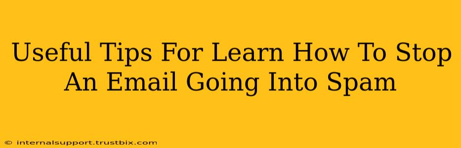 Useful Tips For Learn How To Stop An Email Going Into Spam