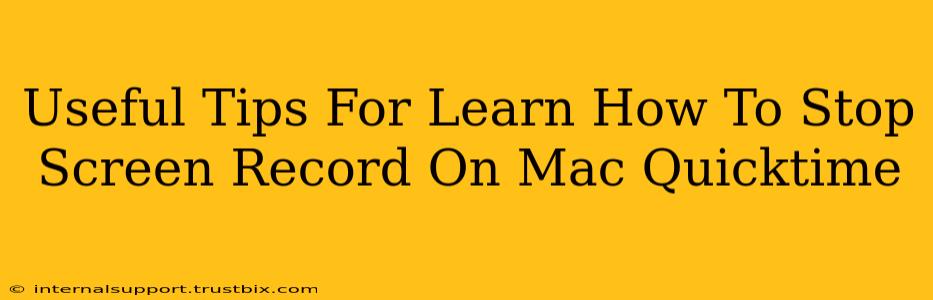 Useful Tips For Learn How To Stop Screen Record On Mac Quicktime