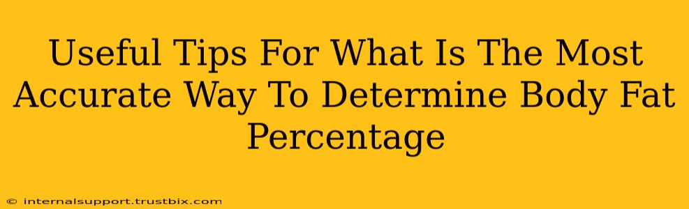 Useful Tips For What Is The Most Accurate Way To Determine Body Fat Percentage