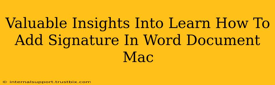 Valuable Insights Into Learn How To Add Signature In Word Document Mac