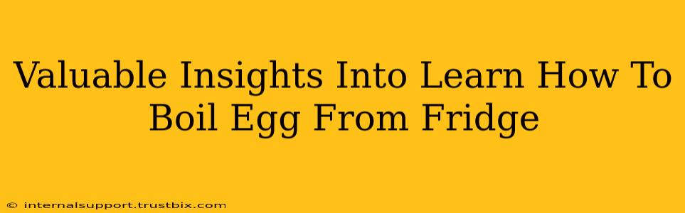 Valuable Insights Into Learn How To Boil Egg From Fridge