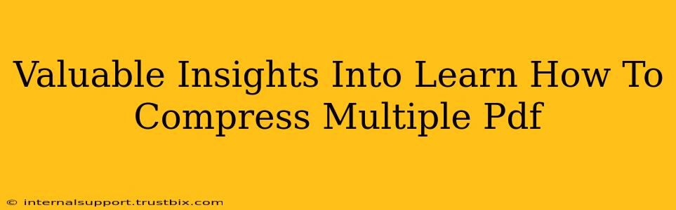 Valuable Insights Into Learn How To Compress Multiple Pdf