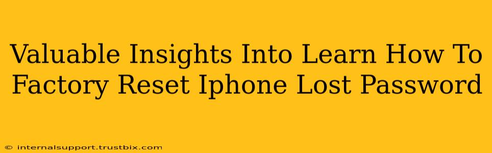 Valuable Insights Into Learn How To Factory Reset Iphone Lost Password