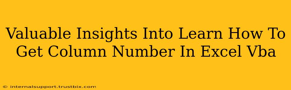 Valuable Insights Into Learn How To Get Column Number In Excel Vba