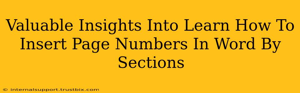 Valuable Insights Into Learn How To Insert Page Numbers In Word By Sections