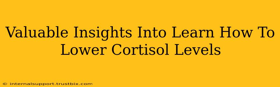 Valuable Insights Into Learn How To Lower Cortisol Levels